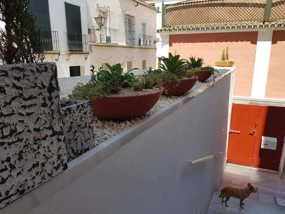 Lolita'S House Alhambra Lägenhet Sevilla Exteriör bild